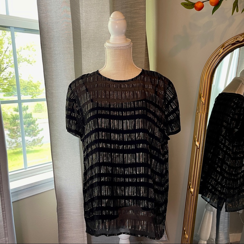 Eileen Fisher Black Sheer Blouse